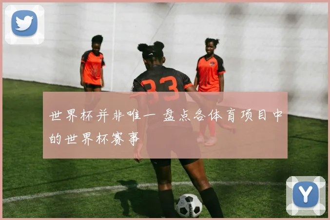 世界杯并非唯一 盘点各体育项目中的世界杯赛事