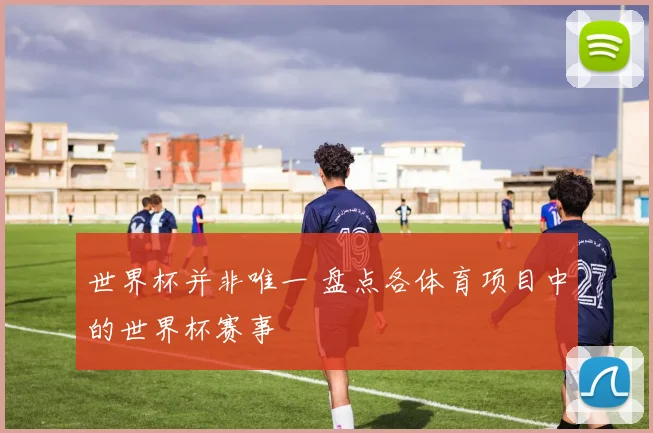 世界杯并非唯一 盘点各体育项目中的世界杯赛事