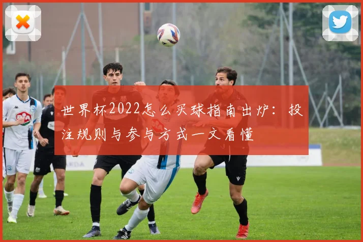 世界杯2022怎么买球指南出炉：投注规则与参与方式一文看懂