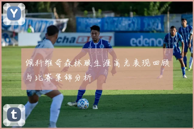 佩科维奇森林狼生涯高光表现回顾与比赛集锦分析