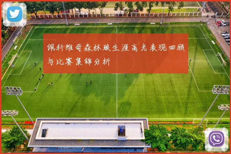 佩科维奇森林狼生涯高光表现回顾与比赛集锦分析