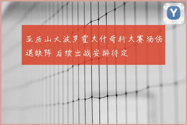 亚历山大波罗霍夫什奇科夫赛场伤退缺阵 后续出战安排待定