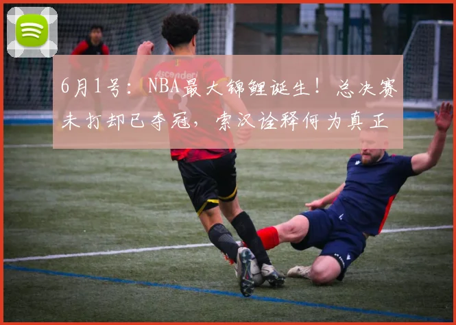 6月1号：NBA最大锦鲤诞生！总决赛未打却已夺冠，索汉诠释何为真正玄学！_赛场_尼克斯_本赛季