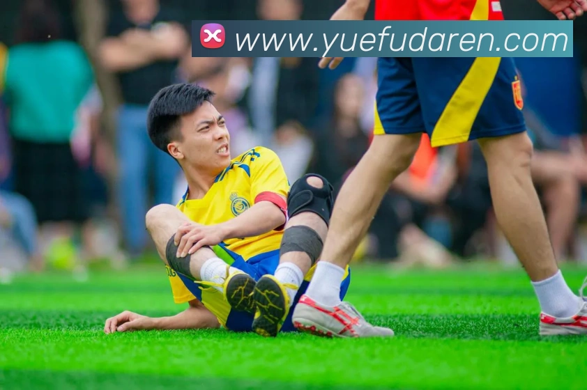 世界杯官网登录app平台生态图