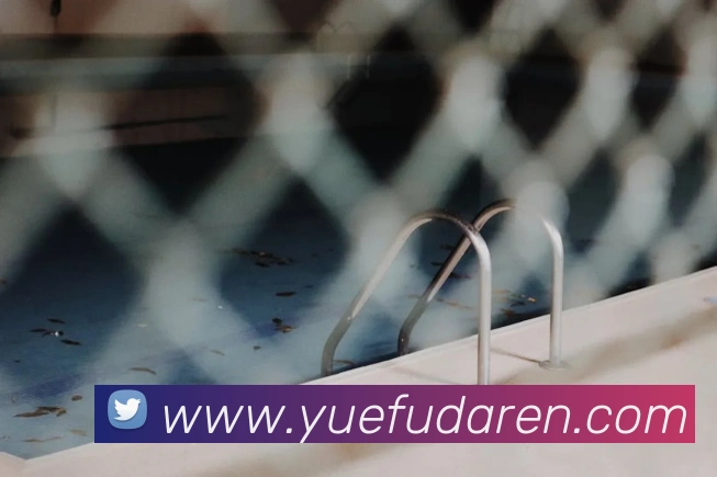 世界杯官网登录appAPP 封面图